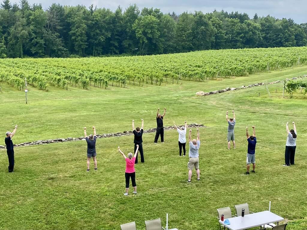 Tai Chi exercise class in the vineyard