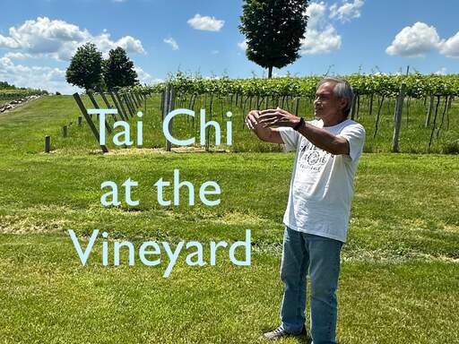 Steve from Hop Gar Kung Fu Academy leads a free class in the vineyard.